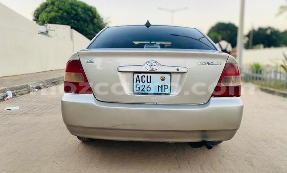 Comprar Usado Toyota Corolla De outros Carro em Maputo em Maputo Comprar Usado Toyota Corolla De outros Carro em Maputo em Maputo