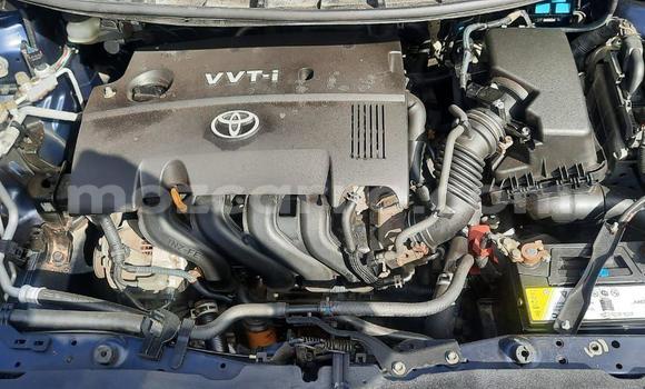 Tenga Tsaru Toyota Auris Bhuruu Mota in Maputo in Maputo Tenga Tsaru Toyota Auris Bhuruu Mota in Maputo in Maputo