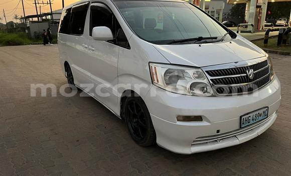 Comprar Usado Toyota Alphard Branco Carro em Maputo em Maputo Comprar Usado Toyota Alphard Branco Carro em Maputo em Maputo