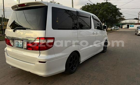 Comprar Usado Toyota Alphard Branco Carro em Maputo em Maputo Comprar Usado Toyota Alphard Branco Carro em Maputo em Maputo