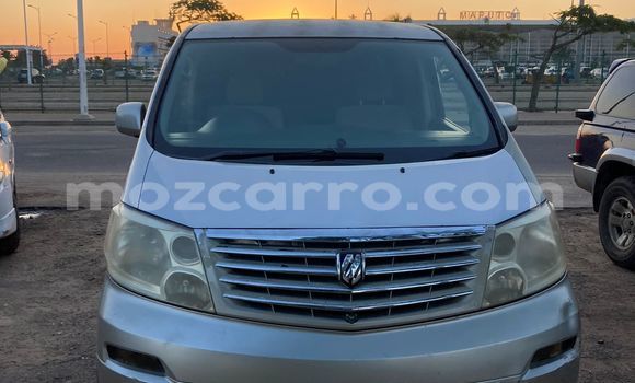 Buy Used Toyota Alphard Silver Car in Maputo in Maputo