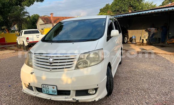 Buy Used Toyota Alphard White Car in Maputo in Maputo