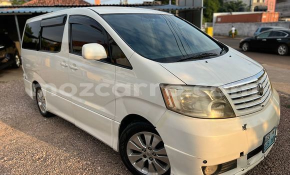 Buy Used Toyota Alphard White Car in Maputo in Maputo Buy Used Toyota Alphard White Car in Maputo in Maputo