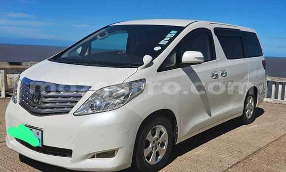 Tenga Tsaru Toyota Alphard Chena Mota in Maputo in Maputo Tenga Tsaru Toyota Alphard Chena Mota in Maputo in Maputo