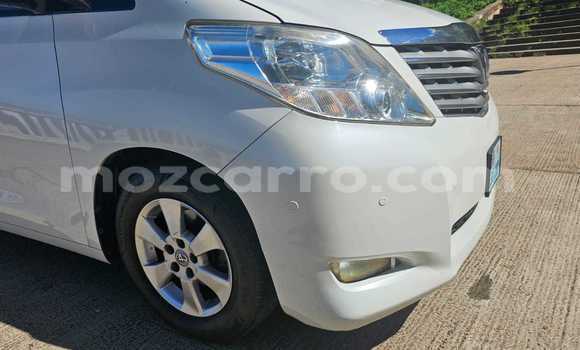 Tenga Tsaru Toyota Alphard Chena Mota in Maputo in Maputo Tenga Tsaru Toyota Alphard Chena Mota in Maputo in Maputo