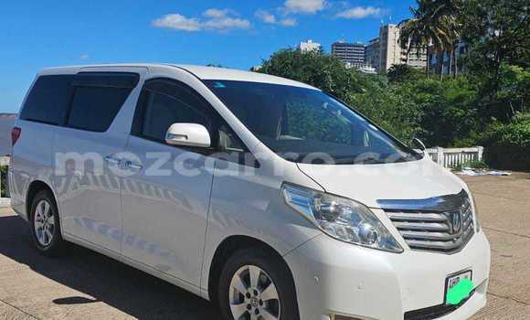 Tenga Tsaru Toyota Alphard Chena Mota in Maputo in Maputo Tenga Tsaru Toyota Alphard Chena Mota in Maputo in Maputo