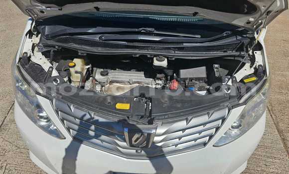 Tenga Tsaru Toyota Alphard Chena Mota in Maputo in Maputo Tenga Tsaru Toyota Alphard Chena Mota in Maputo in Maputo