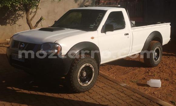 Comprar Usado Nissan Hardbody Branco Carro em Maputo em Maputo Comprar Usado Nissan Hardbody Branco Carro em Maputo em Maputo