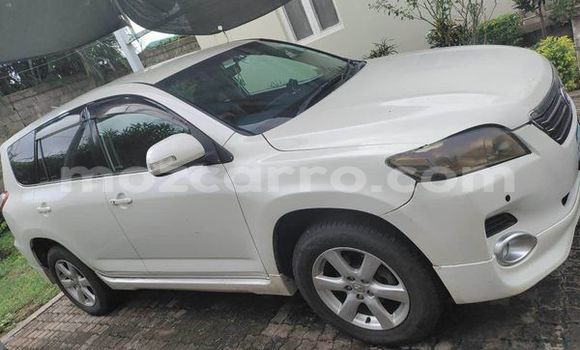 Tenga Tsaru Toyota Vanguard Zvimwe Mota in Maputo in Maputo Tenga Tsaru Toyota Vanguard Zvimwe Mota in Maputo in Maputo