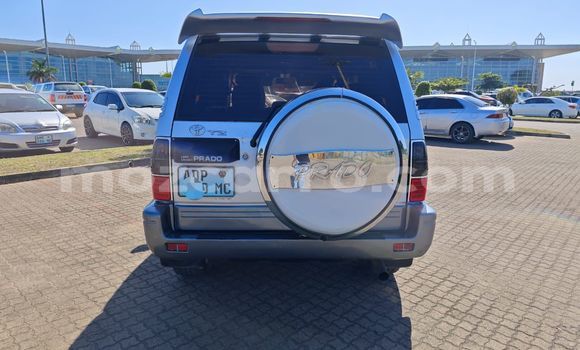 Tenga Tsaru Toyota Land Cruiser Prado Sirivha Mota in Maputo in Maputo Tenga Tsaru Toyota Land Cruiser Prado Sirivha Mota in Maputo in Maputo