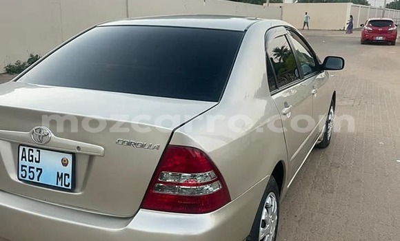 Buy Used Toyota Corolla Other Car in Beira in Sofala Buy Used Toyota Corolla Other Car in Beira in Sofala