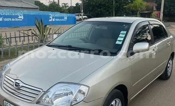 Buy Used Toyota Corolla Other Car in Beira in Sofala Buy Used Toyota Corolla Other Car in Beira in Sofala