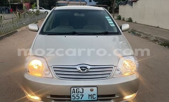 Buy Used Toyota Corolla Other Car in Beira in Sofala Buy Used Toyota Corolla Other Car in Beira in Sofala