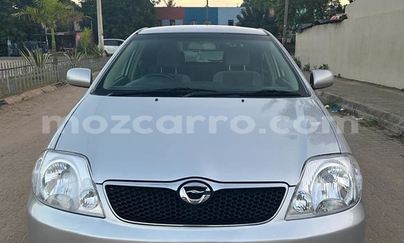 Buy Used Toyota Runx Other Car in Nice view in Maputo Buy Used Toyota Runx Other Car in Nice view in Maputo