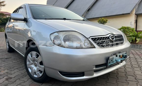 Nunua Ilio tumika Toyota Corolla Fedha Gari ndani ya Maputo nchini Maputo Nunua Ilio tumika Toyota Corolla Fedha Gari ndani ya Maputo nchini Maputo