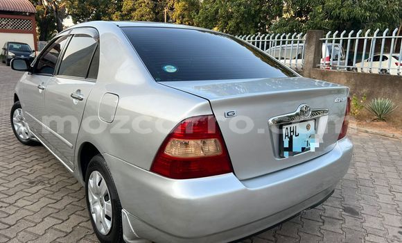 Nunua Ilio tumika Toyota Corolla Fedha Gari ndani ya Maputo nchini Maputo Nunua Ilio tumika Toyota Corolla Fedha Gari ndani ya Maputo nchini Maputo