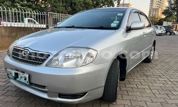 Nunua Ilio tumika Toyota Corolla Fedha Gari ndani ya Maputo nchini Maputo Nunua Ilio tumika Toyota Corolla Fedha Gari ndani ya Maputo nchini Maputo
