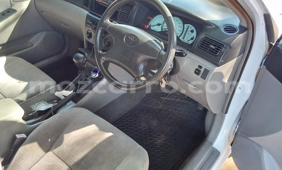 Comprar Usado Toyota Corolla Branco Carro em Caia em Sofala Comprar Usado Toyota Corolla Branco Carro em Caia em Sofala
