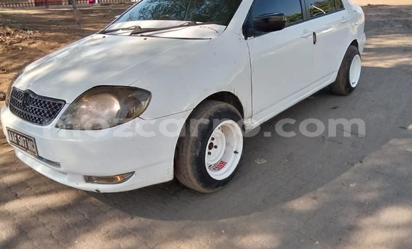 Comprar Usado Toyota Corolla Branco Carro em Caia em Sofala Comprar Usado Toyota Corolla Branco Carro em Caia em Sofala