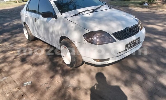 Comprar Usado Toyota Corolla Branco Carro em Caia em Sofala Comprar Usado Toyota Corolla Branco Carro em Caia em Sofala