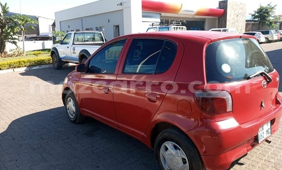 Buy Used Toyota Vitz Red Car in Balama in Cabo Delgado Buy Used Toyota Vitz Red Car in Balama in Cabo Delgado