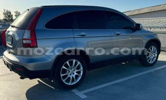 Buy Used Honda CR-V Other Car in Maputo in Maputo Buy Used Honda CR-V Other Car in Maputo in Maputo