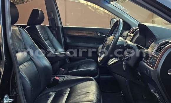 Buy Used Honda CR-V Black Car in Maputo in Maputo Buy Used Honda CR-V Black Car in Maputo in Maputo