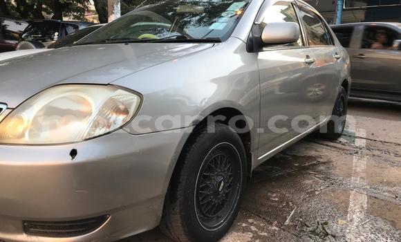 Comprar Usado Toyota Corolla De outros Carro em Maputo em Maputo Comprar Usado Toyota Corolla De outros Carro em Maputo em Maputo