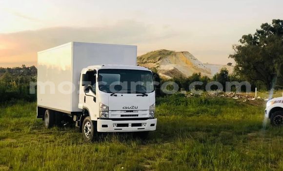 Comprar Usado Isuzu FTR 850 Branco Caminhão em Maputo em Maputo Comprar Usado Isuzu FTR 850 Branco Caminhão em Maputo em Maputo