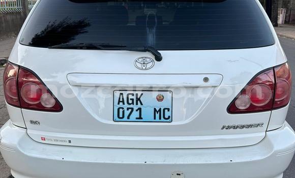 Tenga Tsaru Toyota Harrier Chena Mota in Maputo in Maputo Tenga Tsaru Toyota Harrier Chena Mota in Maputo in Maputo