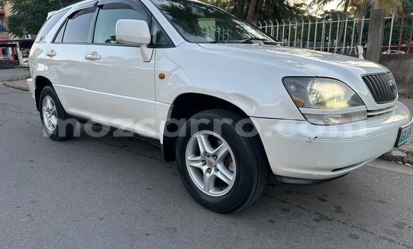 Tenga Tsaru Toyota Harrier Chena Mota in Maputo in Maputo Tenga Tsaru Toyota Harrier Chena Mota in Maputo in Maputo