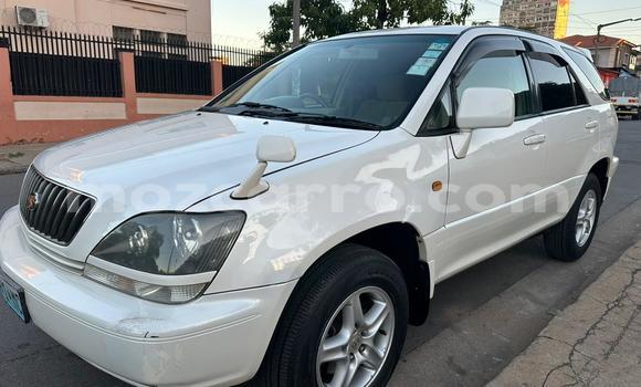 Tenga Tsaru Toyota Harrier Chena Mota in Maputo in Maputo Tenga Tsaru Toyota Harrier Chena Mota in Maputo in Maputo