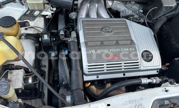 Tenga Tsaru Toyota Harrier Chena Mota in Maputo in Maputo Tenga Tsaru Toyota Harrier Chena Mota in Maputo in Maputo