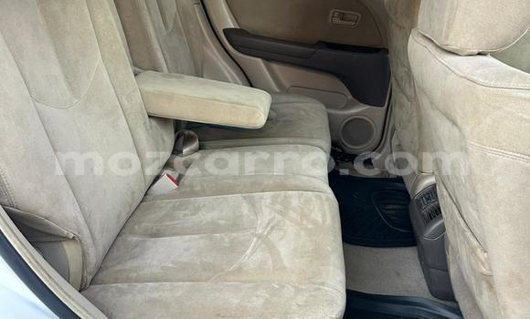 Tenga Tsaru Toyota Harrier Chena Mota in Maputo in Maputo Tenga Tsaru Toyota Harrier Chena Mota in Maputo in Maputo