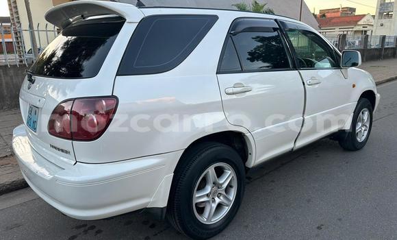 Tenga Tsaru Toyota Harrier Chena Mota in Maputo in Maputo Tenga Tsaru Toyota Harrier Chena Mota in Maputo in Maputo