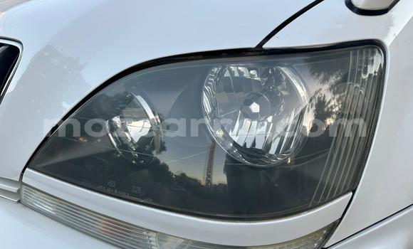 Tenga Tsaru Toyota Harrier Chena Mota in Maputo in Maputo Tenga Tsaru Toyota Harrier Chena Mota in Maputo in Maputo