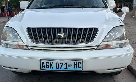 Tenga Tsaru Toyota Harrier Chena Mota in Maputo in Maputo Tenga Tsaru Toyota Harrier Chena Mota in Maputo in Maputo