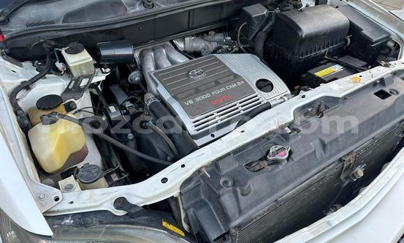 Tenga Tsaru Toyota Harrier Chena Mota in Maputo in Maputo Tenga Tsaru Toyota Harrier Chena Mota in Maputo in Maputo