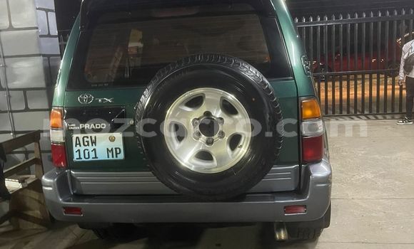 Buy Used Toyota Land Cruiser Green Car in Maputo in Maputo Buy Used Toyota Land Cruiser Green Car in Maputo in Maputo