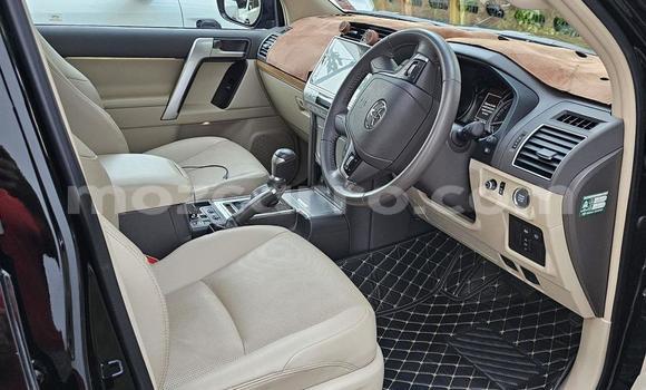 Tenga Tsaru Toyota Land Cruiser Prado Nhema Mota in Maputo in Maputo Tenga Tsaru Toyota Land Cruiser Prado Nhema Mota in Maputo in Maputo