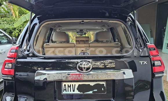 Tenga Tsaru Toyota Land Cruiser Prado Nhema Mota in Maputo in Maputo Tenga Tsaru Toyota Land Cruiser Prado Nhema Mota in Maputo in Maputo