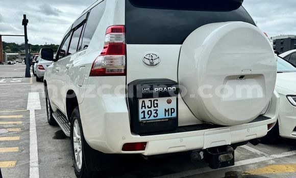 Buy Used Toyota Land Cruiser Prado White Car in Maputo in Maputo Buy Used Toyota Land Cruiser Prado White Car in Maputo in Maputo