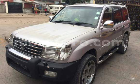 Nunua Ilio tumika Toyota Land Cruiser Nyingine Gari ndani ya Maputo nchini Maputo Nunua Ilio tumika Toyota Land Cruiser Nyingine Gari ndani ya Maputo nchini Maputo