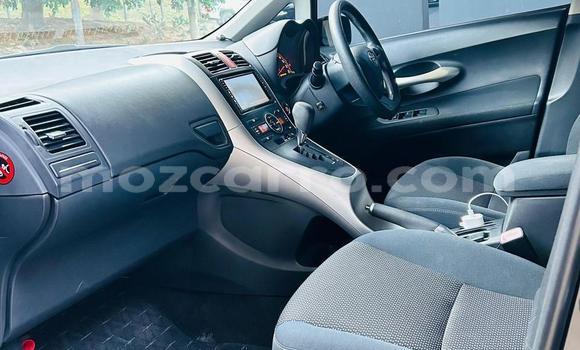 Tenga Tsaru Toyota Auris Nhema Mota in Maputo in Maputo Tenga Tsaru Toyota Auris Nhema Mota in Maputo in Maputo