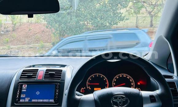 Tenga Tsaru Toyota Auris Nhema Mota in Maputo in Maputo Tenga Tsaru Toyota Auris Nhema Mota in Maputo in Maputo