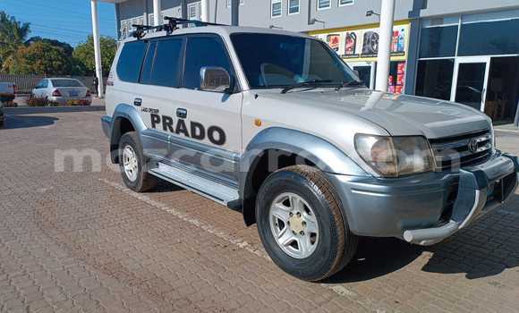 Buy Used Toyota Land Cruiser Prado Other Car in Maputo in Maputo Buy Used Toyota Land Cruiser Prado Other Car in Maputo in Maputo