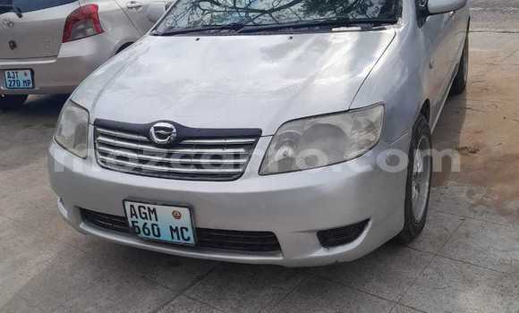 Comprar Usado Toyota Corolla Prata Carro em Maputo em Maputo Comprar Usado Toyota Corolla Prata Carro em Maputo em Maputo