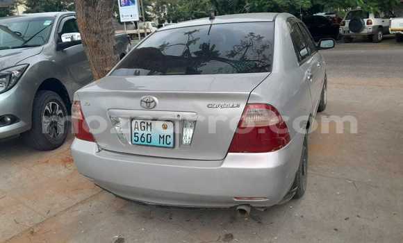 Comprar Usado Toyota Corolla Prata Carro em Maputo em Maputo Comprar Usado Toyota Corolla Prata Carro em Maputo em Maputo