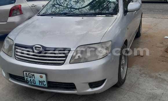 Comprar Usado Toyota Corolla Prata Carro em Maputo em Maputo Comprar Usado Toyota Corolla Prata Carro em Maputo em Maputo