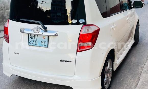 Tenga Tsaru Toyota Ractis Chena Mota in Maputo in Maputo Tenga Tsaru Toyota Ractis Chena Mota in Maputo in Maputo